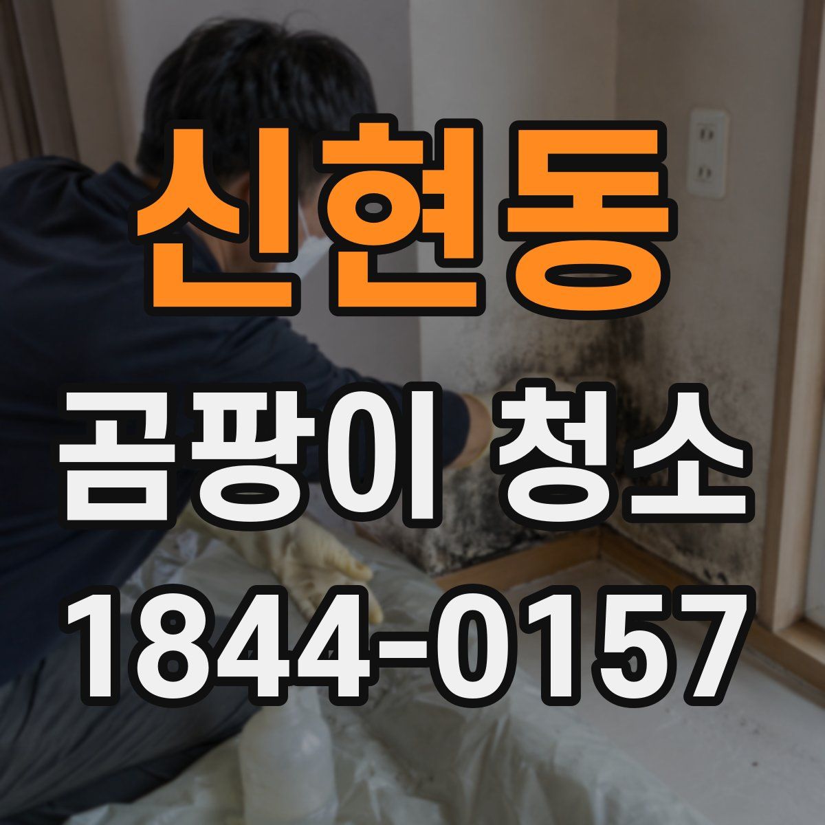신현동 곰팡이 청소