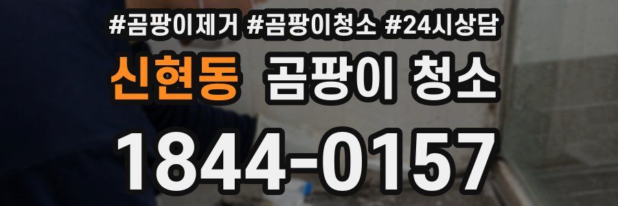 신현동 곰팡이 청소