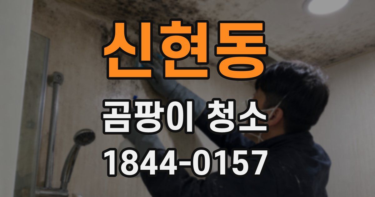 신현동 곰팡이 청소