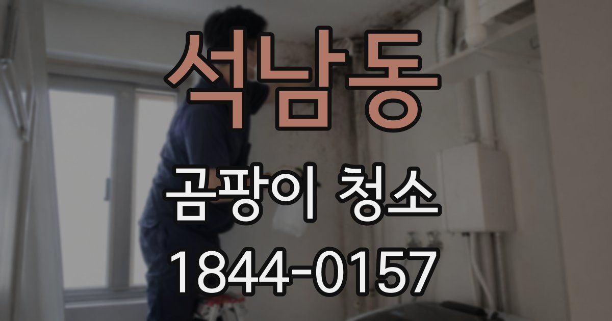 석남동 곰팡이 청소