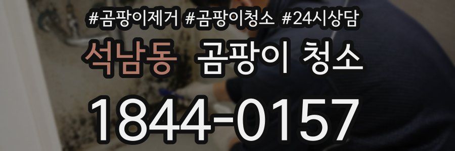 석남동 곰팡이 청소