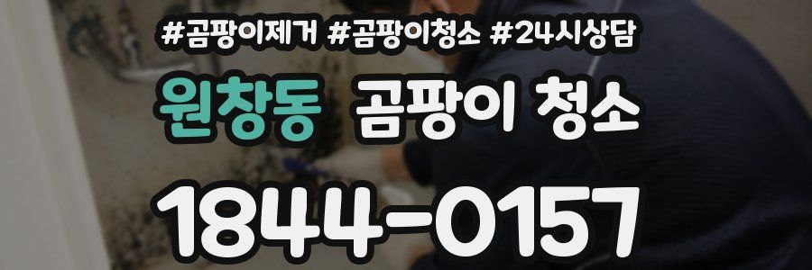 원창동 곰팡이 청소