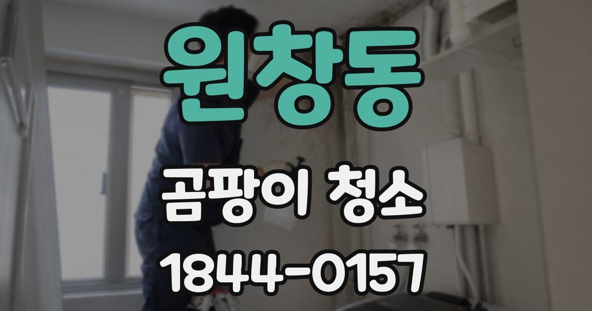 원창동 곰팡이 청소