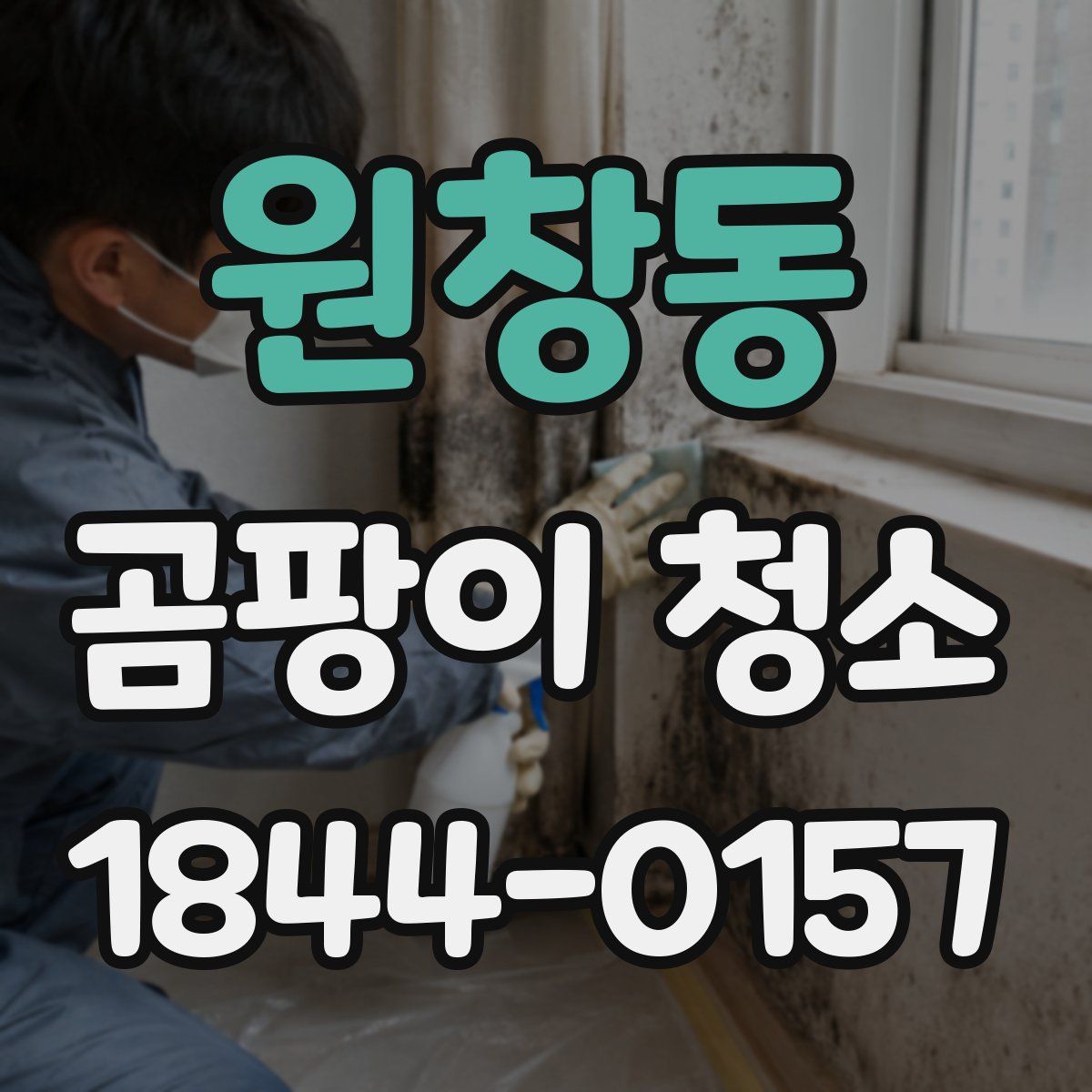 원창동 곰팡이 청소