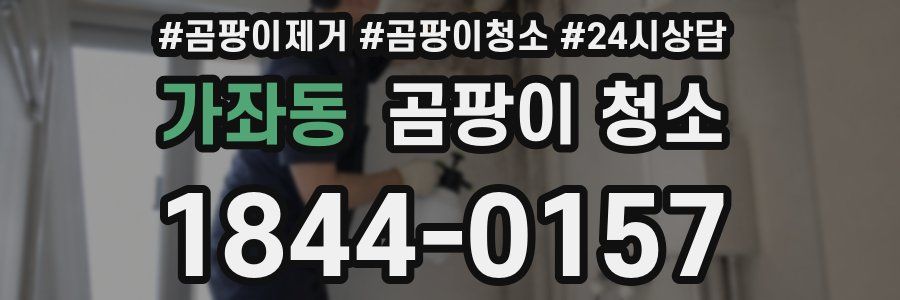가좌동 곰팡이 청소