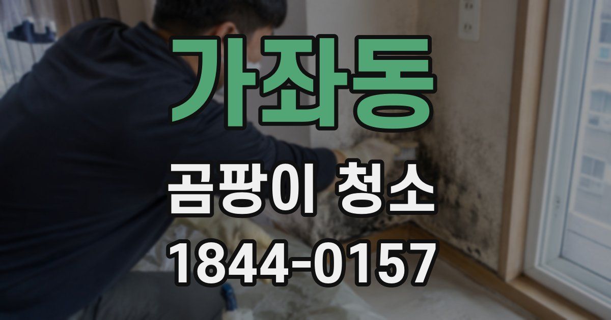 가좌동 곰팡이 청소