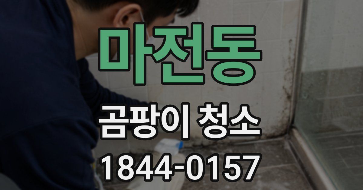 마전동 곰팡이 청소