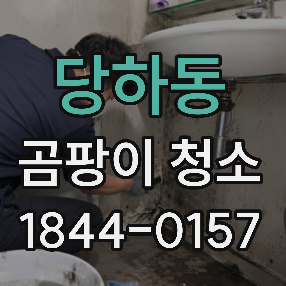 당하동 곰팡이 청소