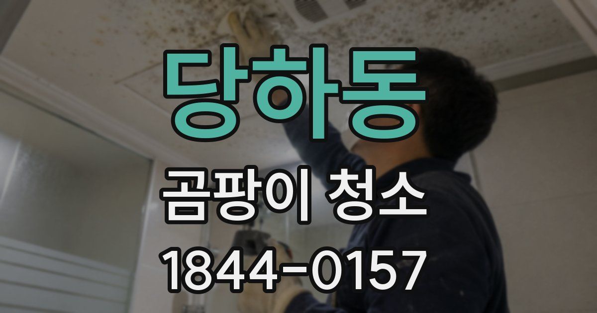 당하동 곰팡이 청소