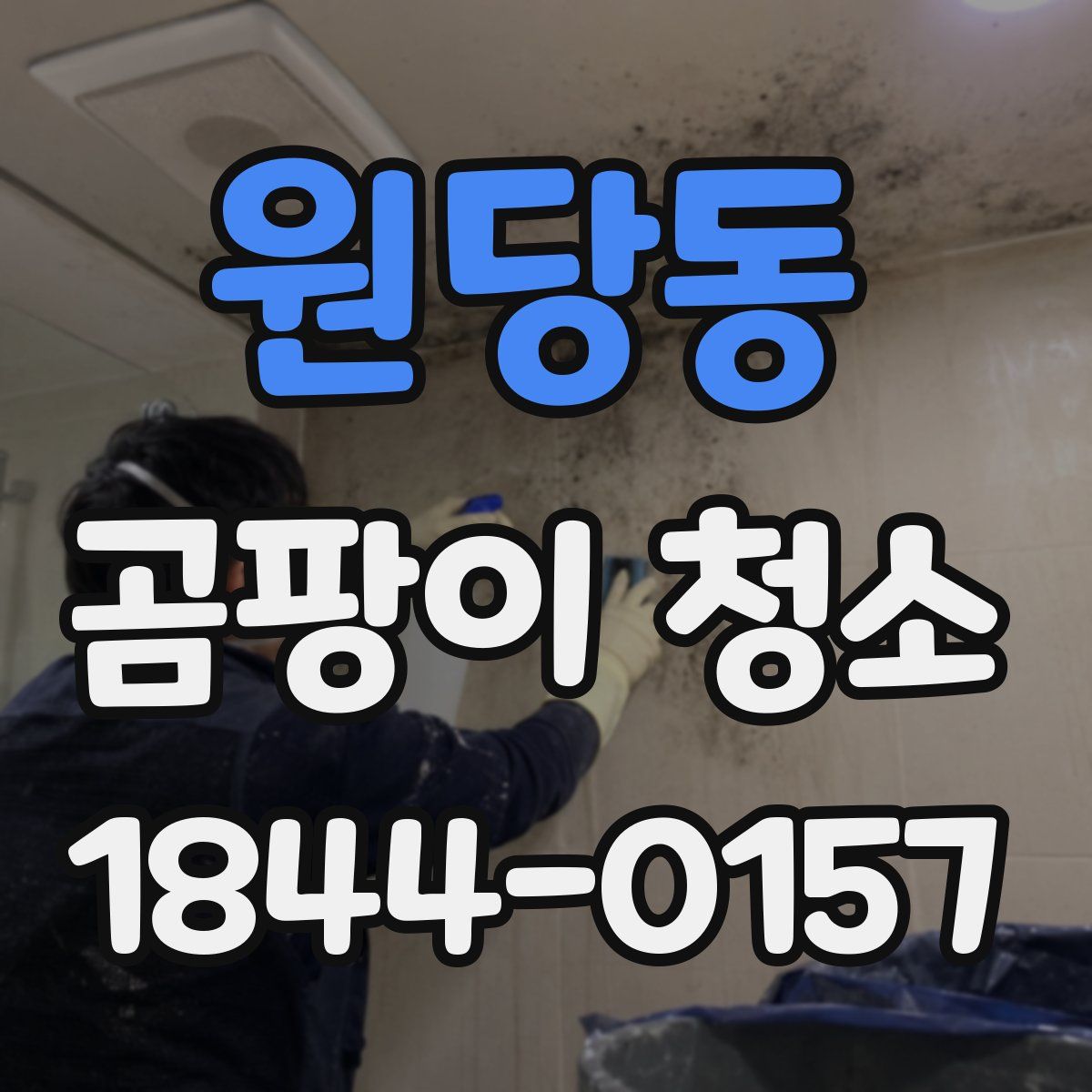 원당동 곰팡이 청소