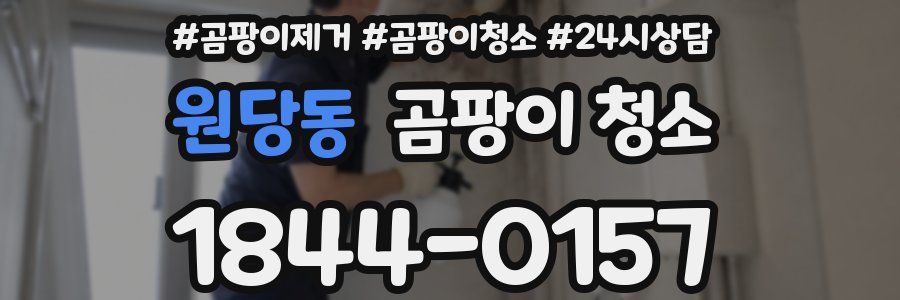 원당동 곰팡이 청소