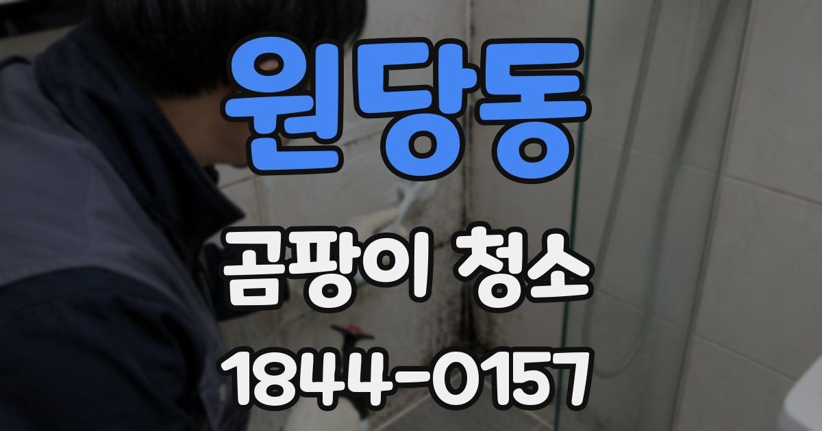 원당동 곰팡이 청소