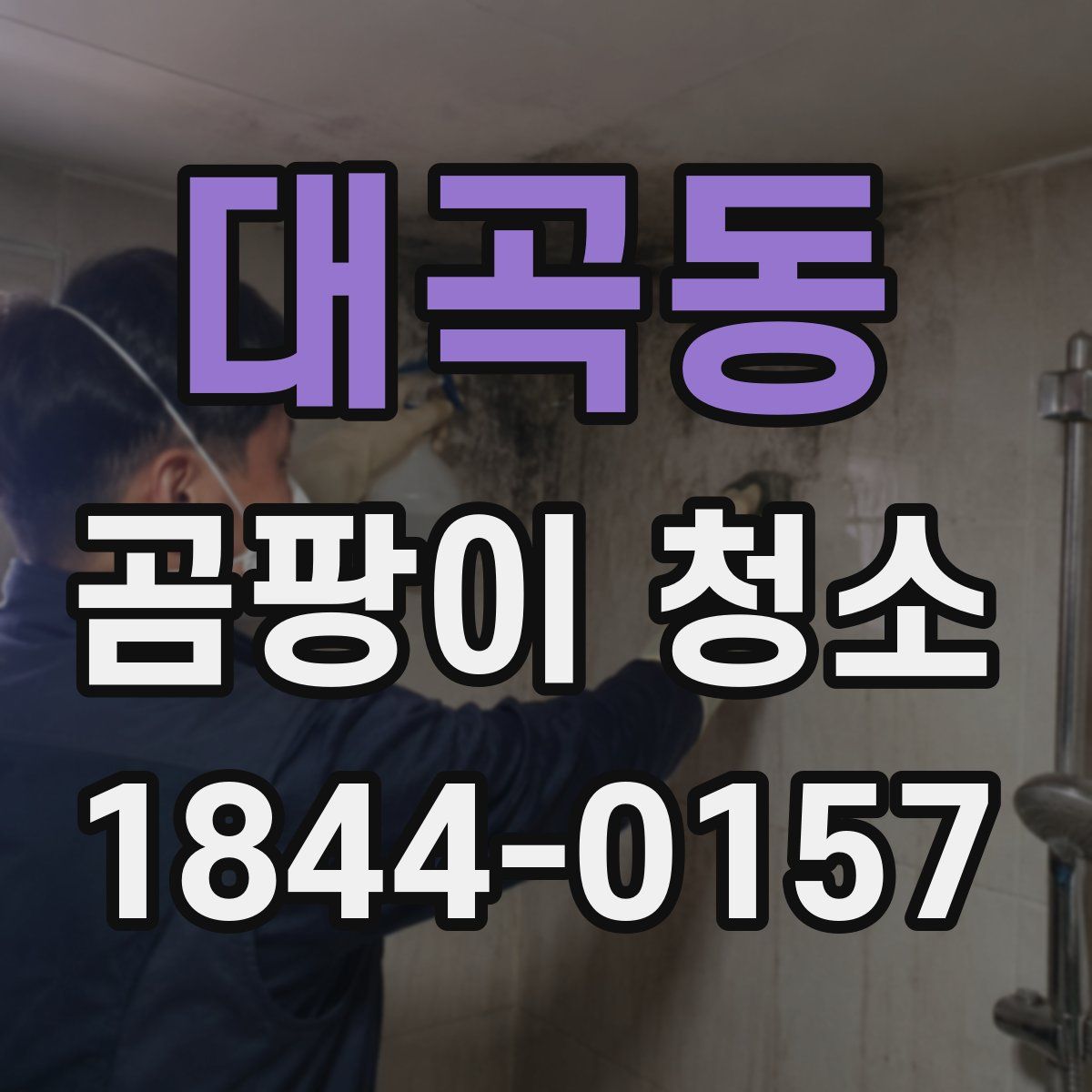 대곡동 곰팡이 청소