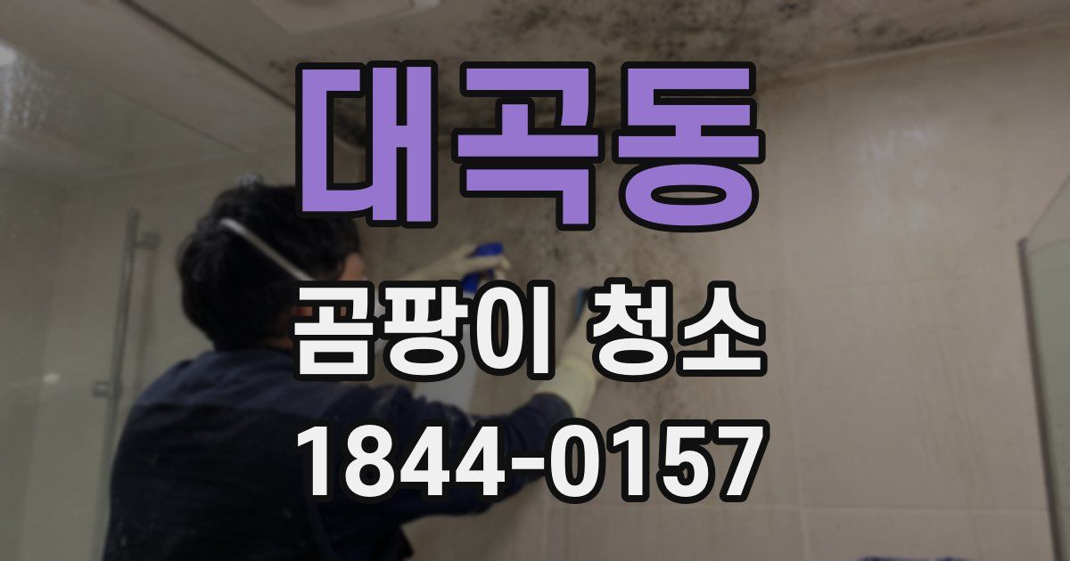 대곡동 곰팡이 청소