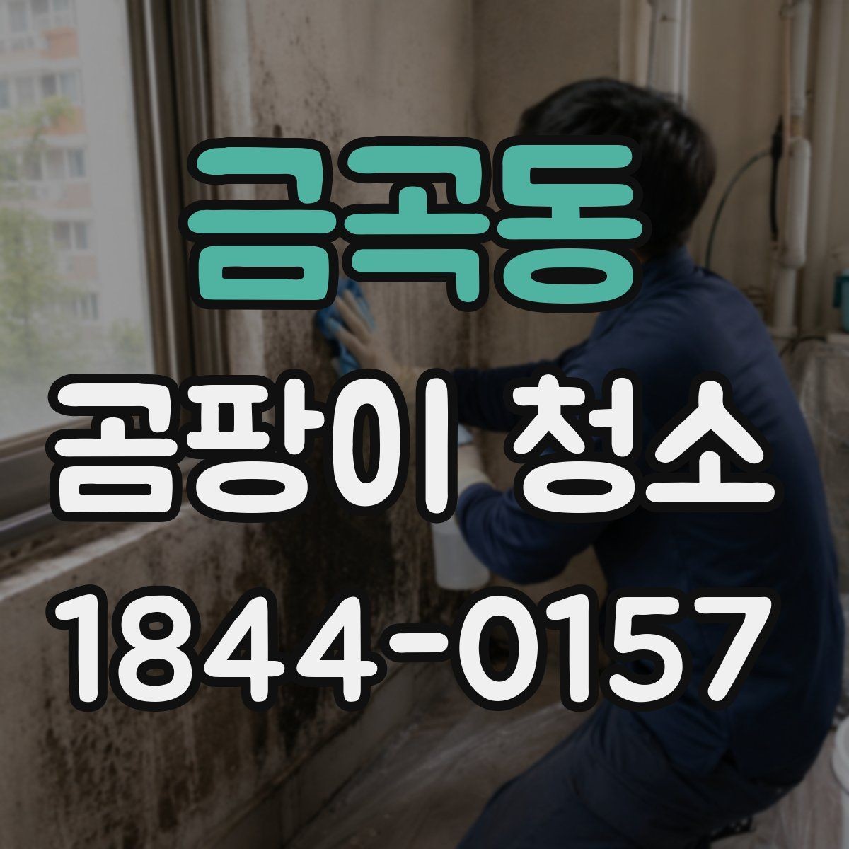금곡동 곰팡이 청소 습도와 결로가 반복되는 공간의 관리법