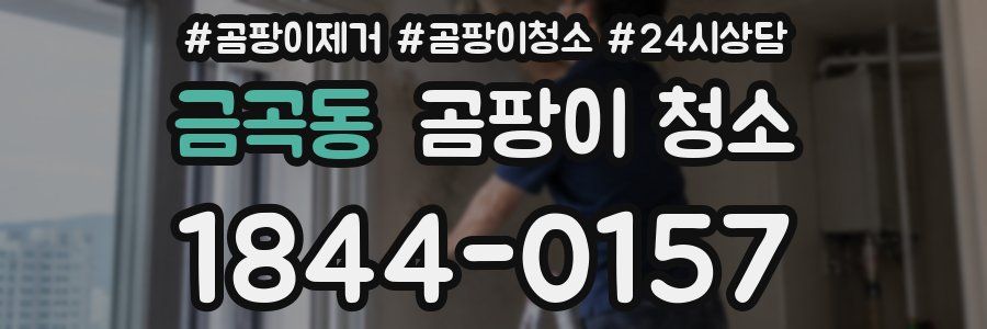 금곡동 곰팡이 청소