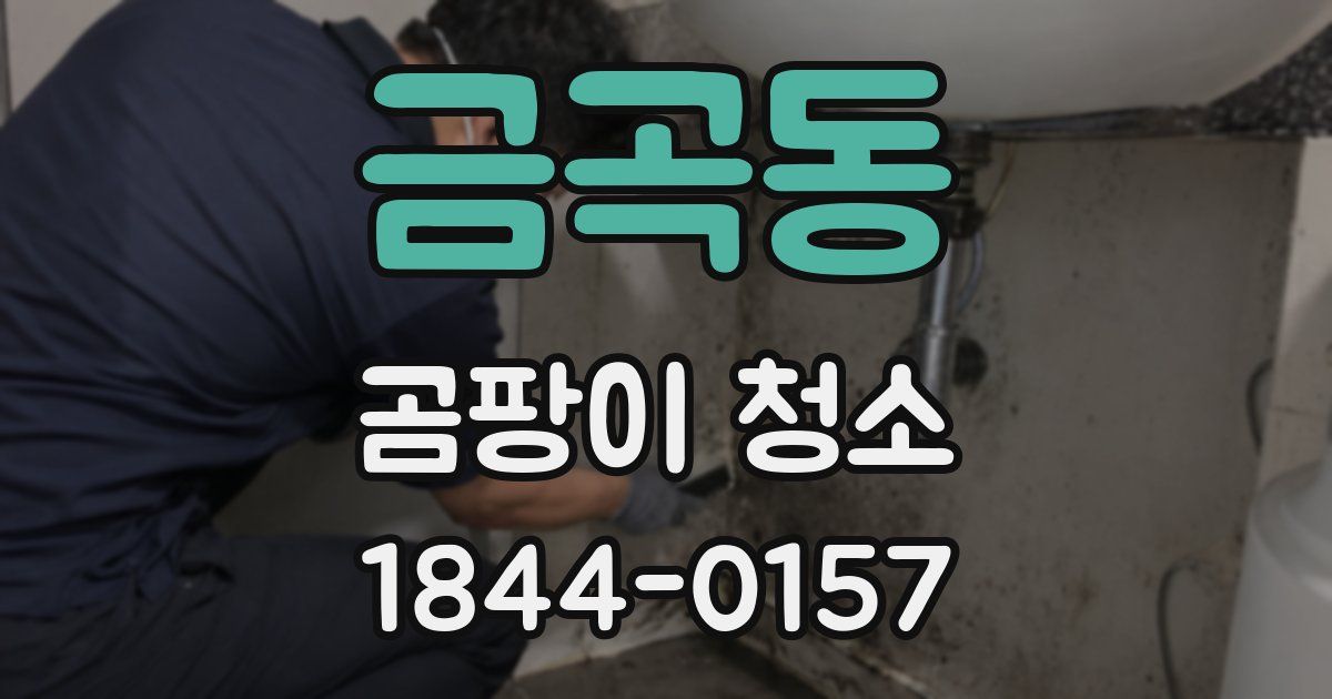 금곡동 곰팡이 청소