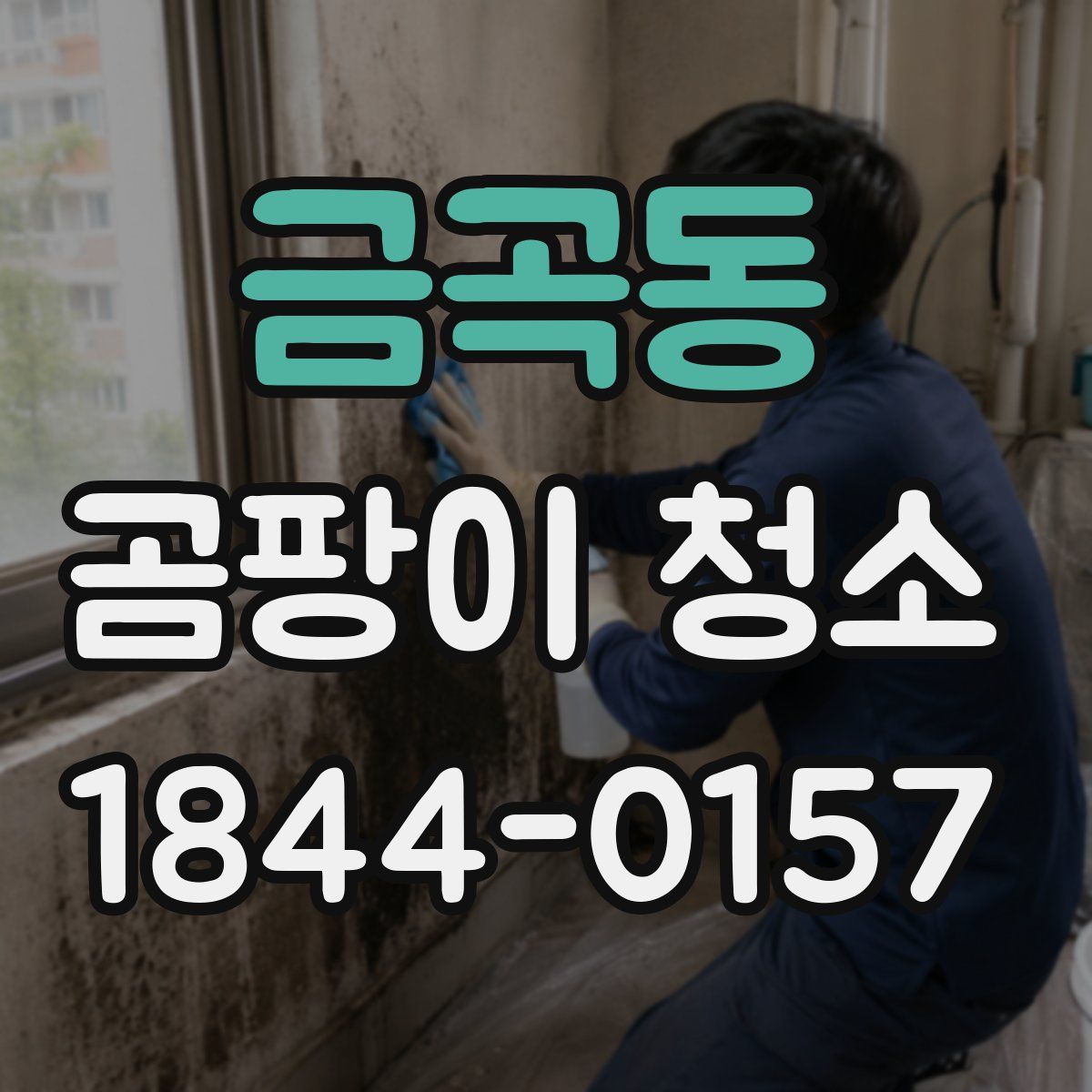 금곡동 곰팡이 청소