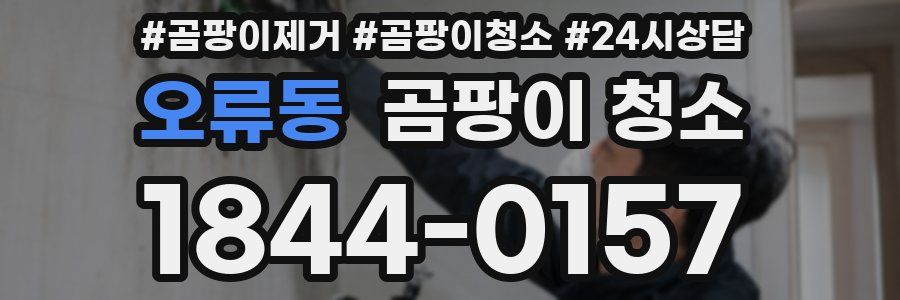 오류동 곰팡이 청소