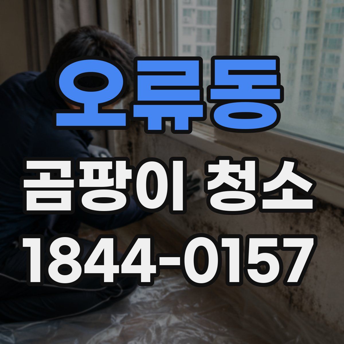 오류동 곰팡이 청소