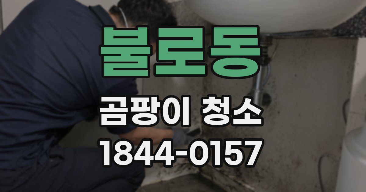 불로동 곰팡이 청소