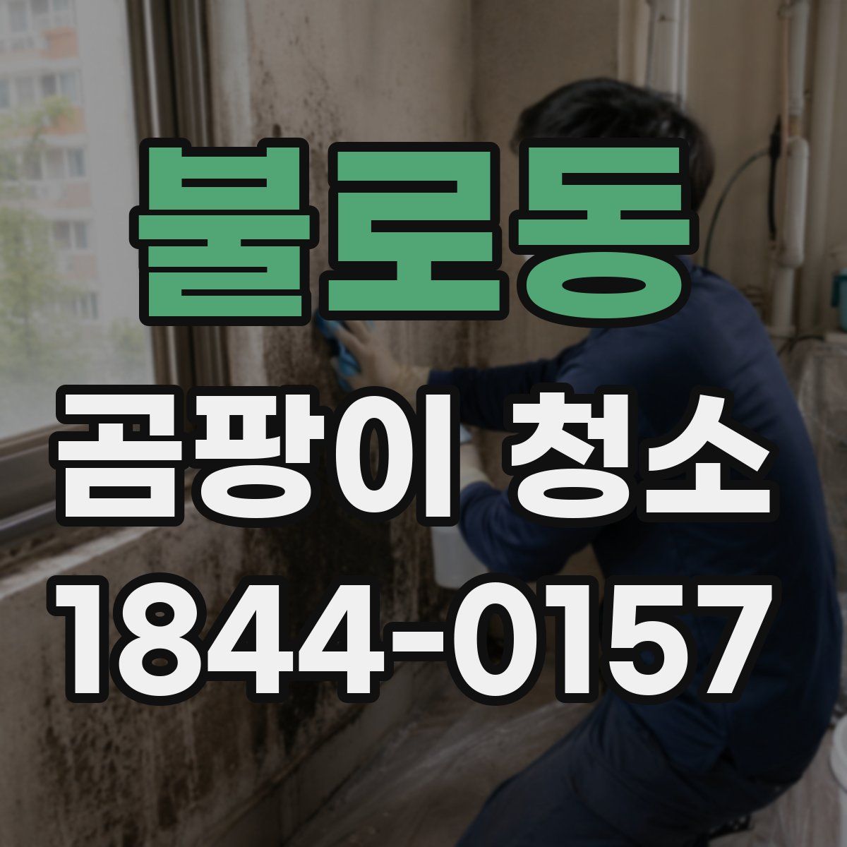 불로동 곰팡이 청소