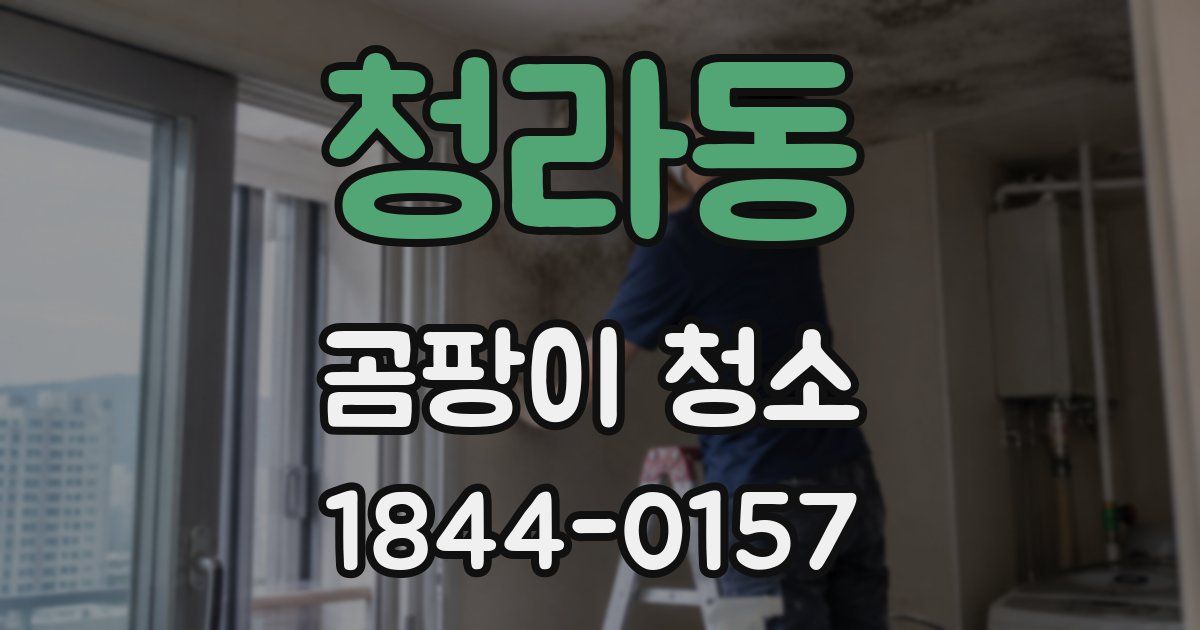 청라동 곰팡이 청소