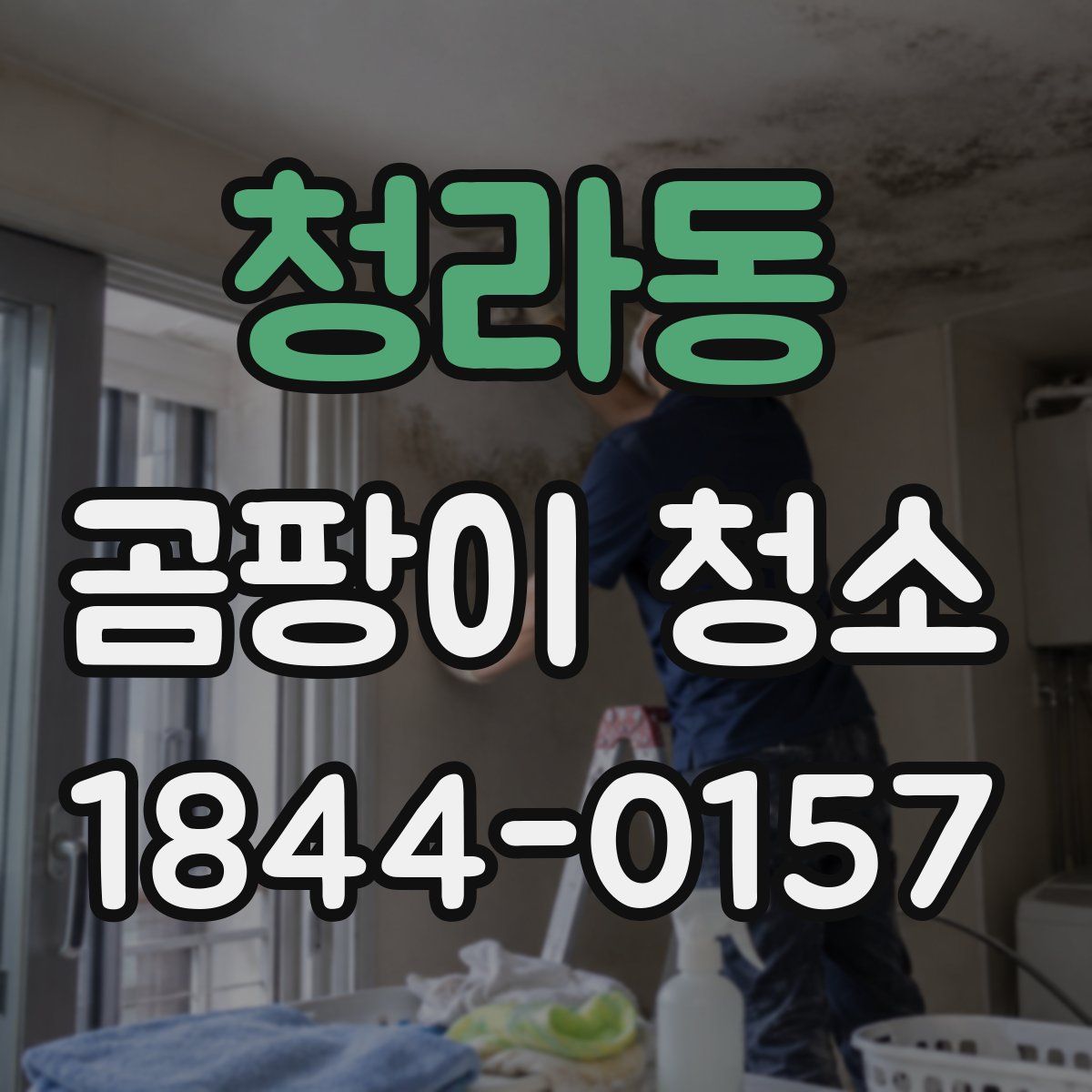 청라동 곰팡이 청소