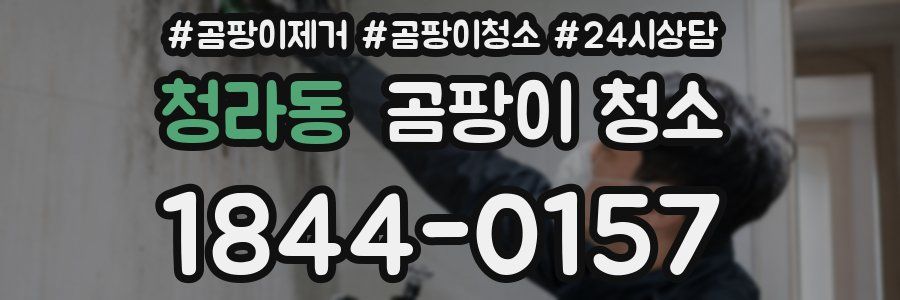 청라동 곰팡이 청소