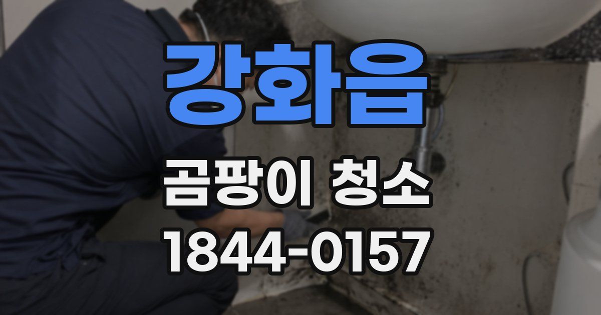 강화읍 곰팡이 청소