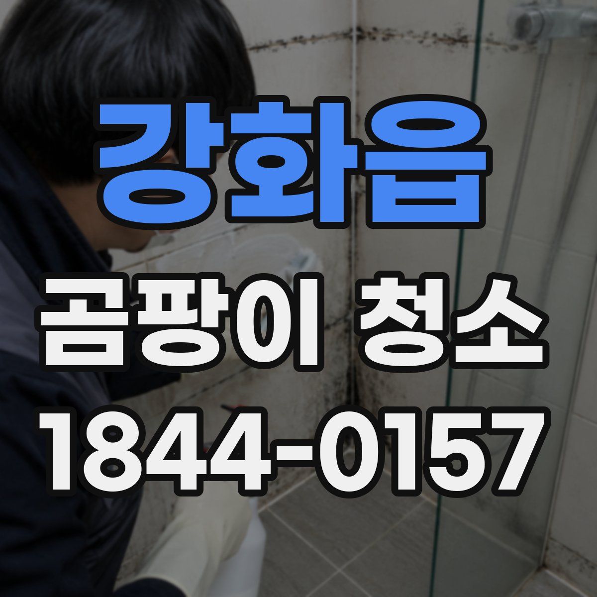 강화읍 곰팡이 청소