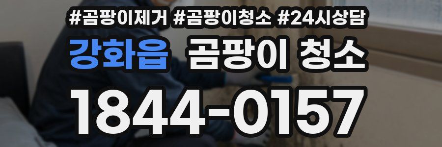 강화읍 곰팡이 청소