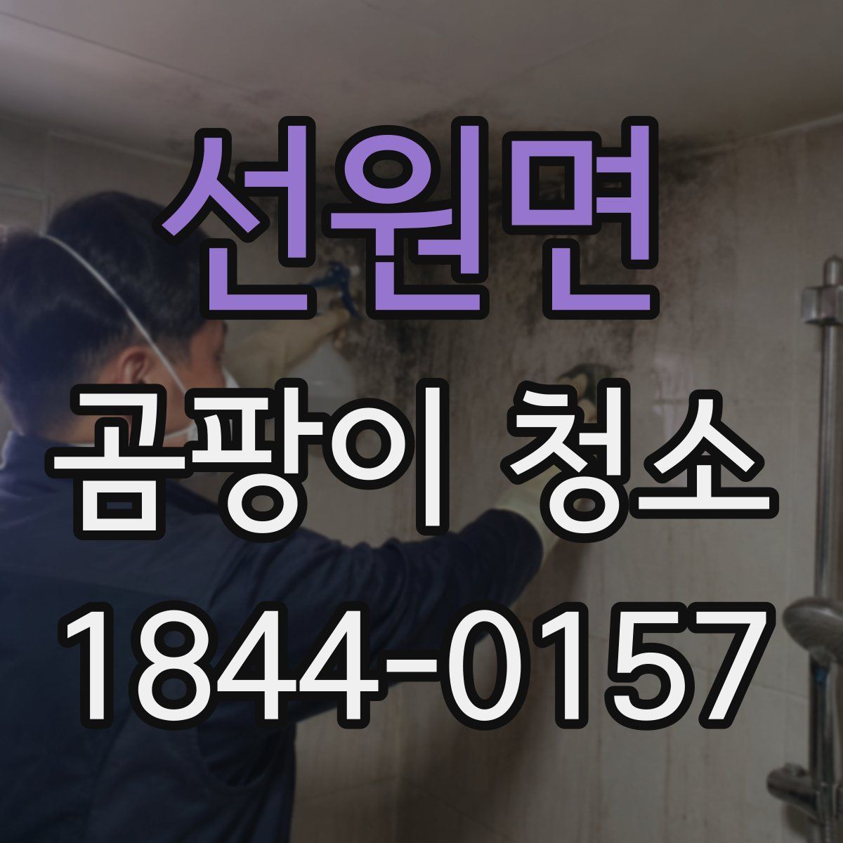 선원면 곰팡이 청소
