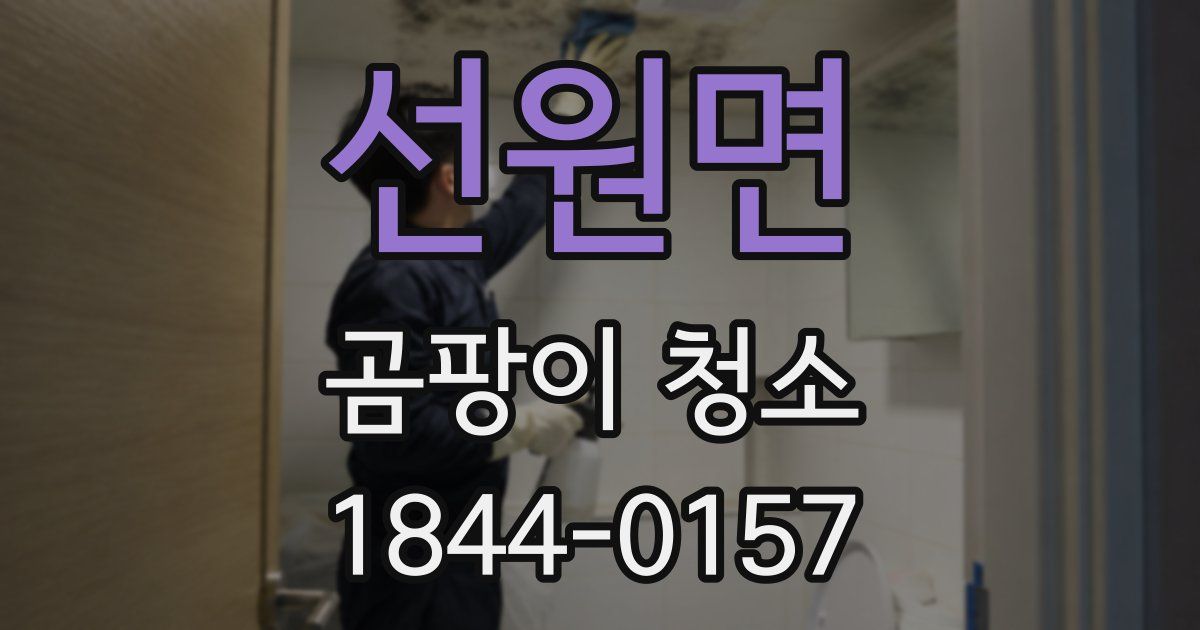선원면 곰팡이 청소