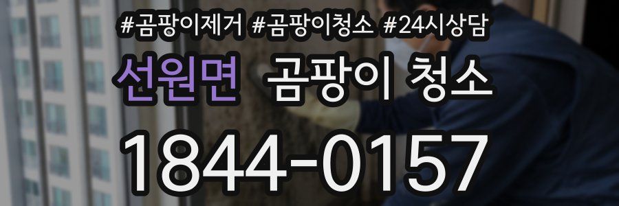 선원면 곰팡이 청소
