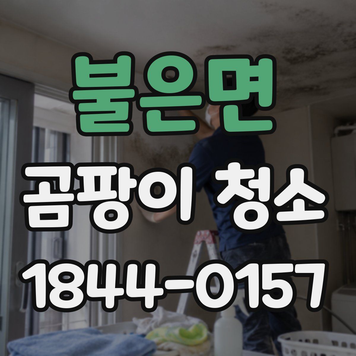 불은면 곰팡이 청소