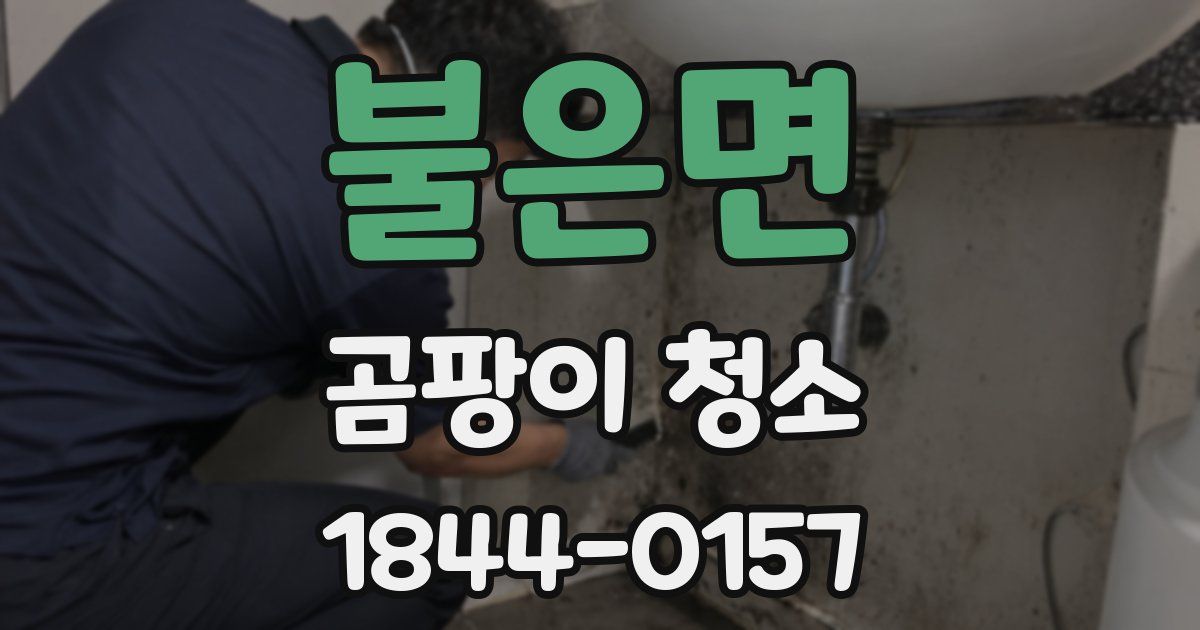 불은면 곰팡이 청소