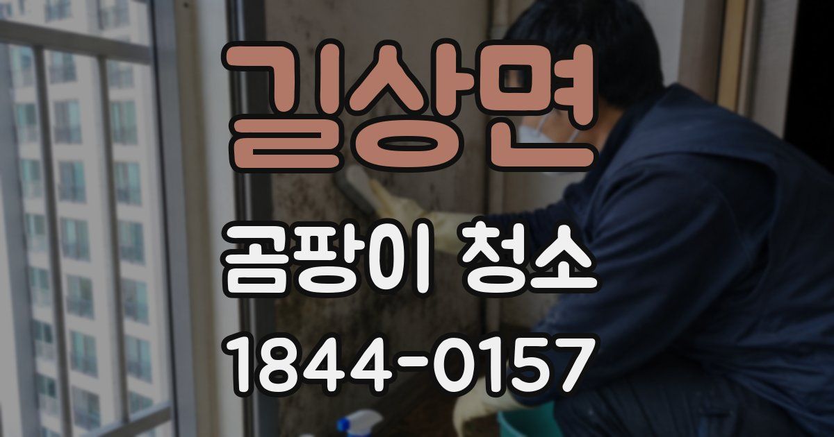 길상면 곰팡이 청소