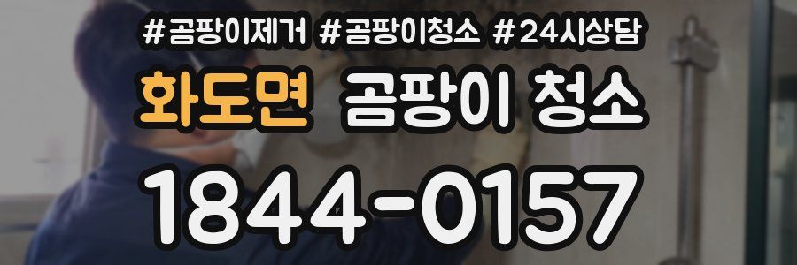 화도면 곰팡이 청소