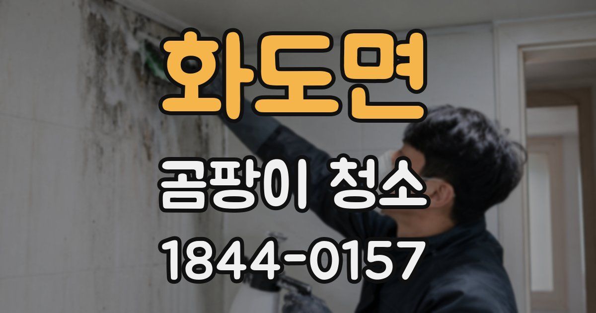 화도면 곰팡이 청소