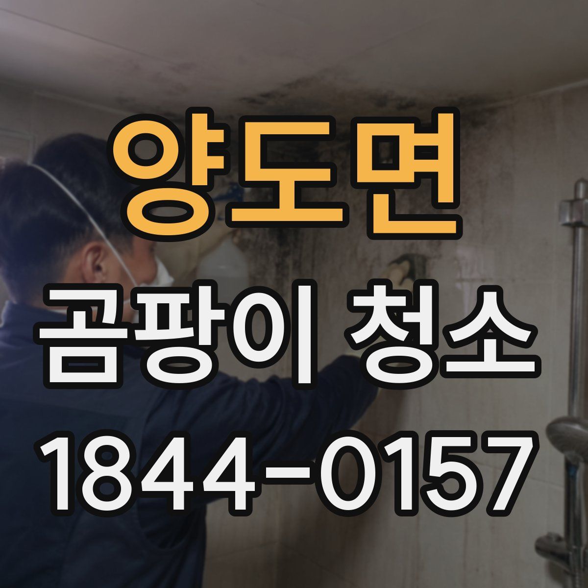 양도면 곰팡이 청소
