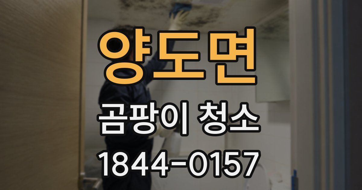 양도면 곰팡이 청소