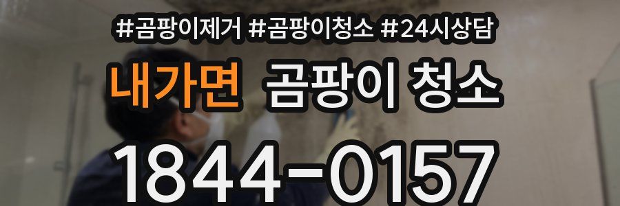 내가면 곰팡이 청소