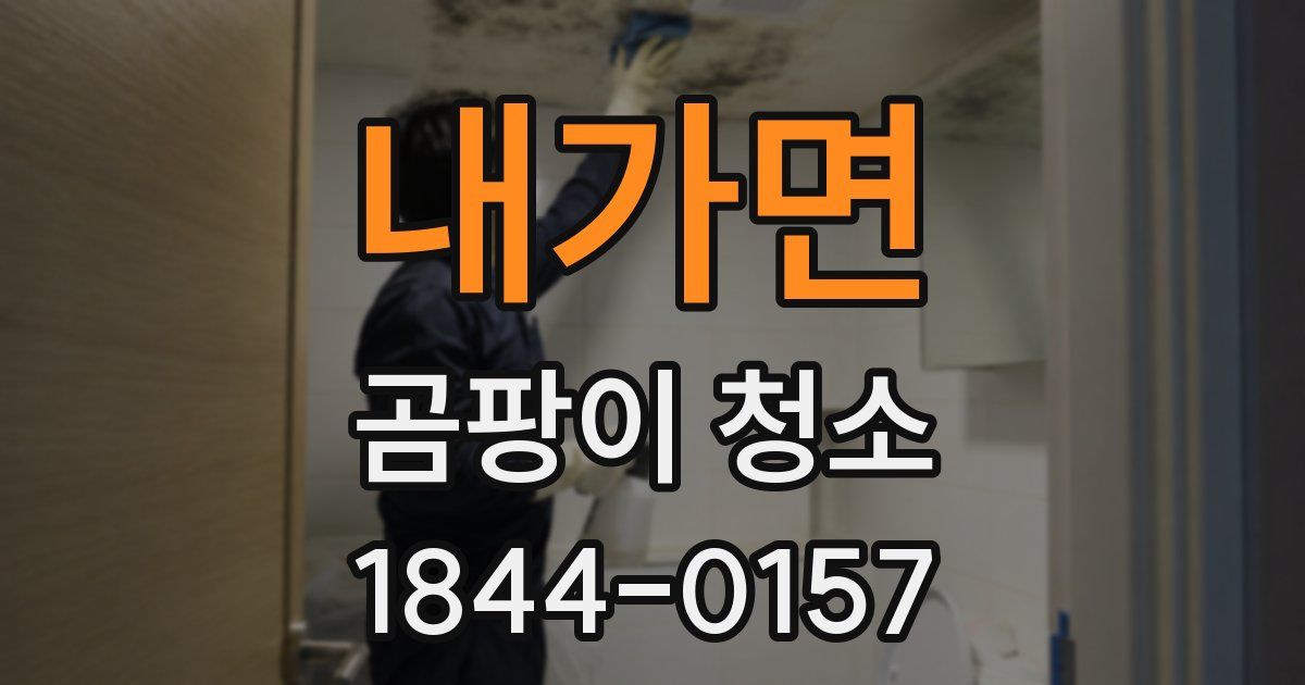 내가면 곰팡이 청소