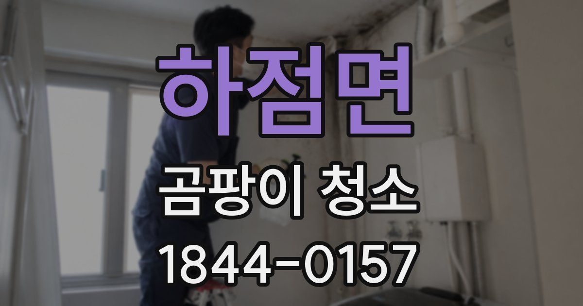 하점면 곰팡이 청소