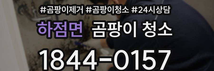 하점면 곰팡이 청소