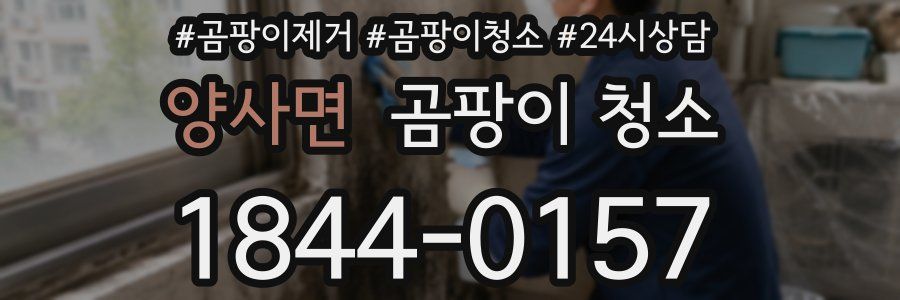 양사면 곰팡이 청소