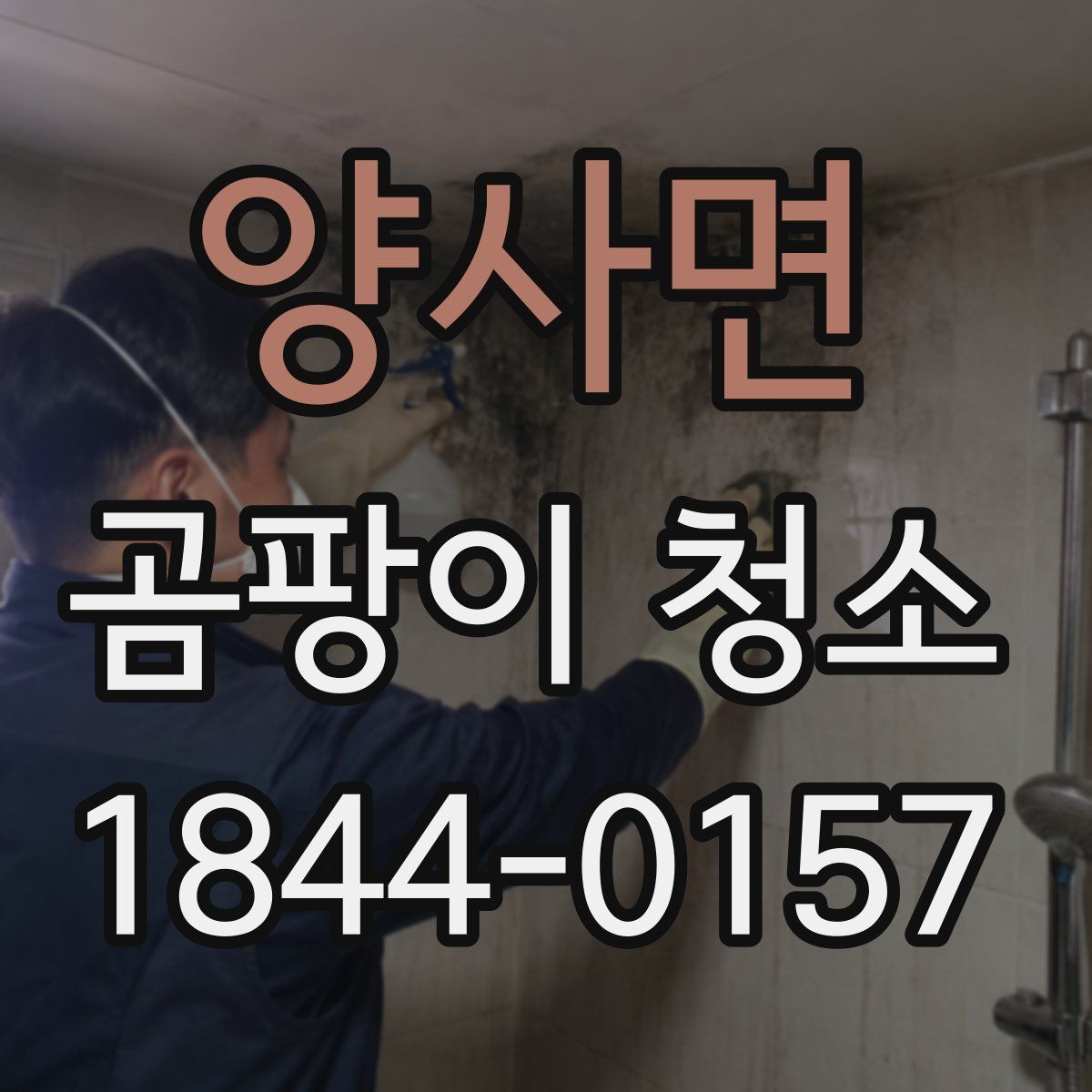 양사면 곰팡이 청소