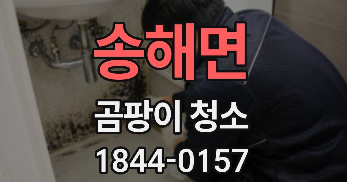 송해면 곰팡이 청소