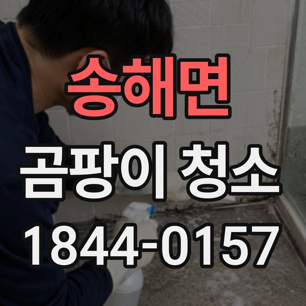 송해면 곰팡이 청소